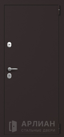 Фото «Входная дверь с порошковым напылением снаружи и натуральным шпоном №93»